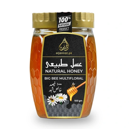 Organic Al Jannat Big Bee Honey (500 Grams)