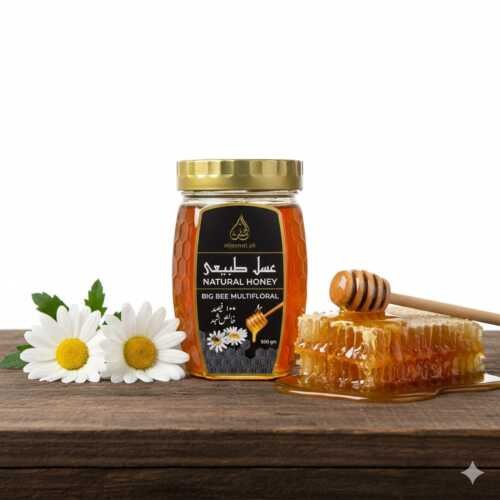 Organic Al Jannat Big Bee Honey (500 Grams)